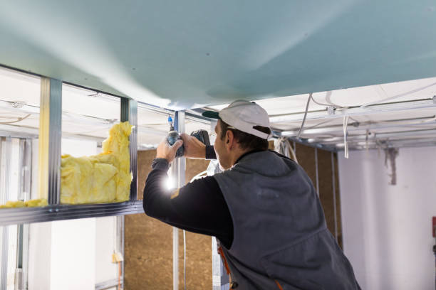 Best Cellulose Insulation in South Hill, VA