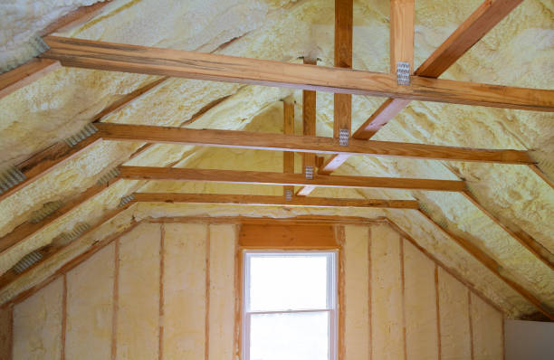 Best Specialized Insulation Services in South Hill, VA