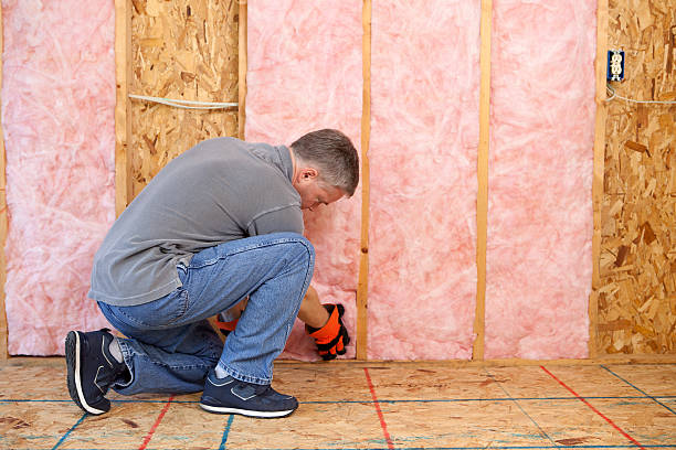 Best Eco-Friendly Insulation in South Hill, VA