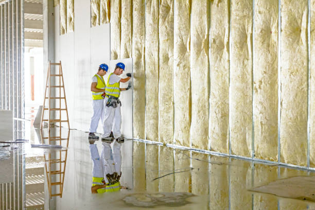 Best Blown-in Insulation in South Hill, VA